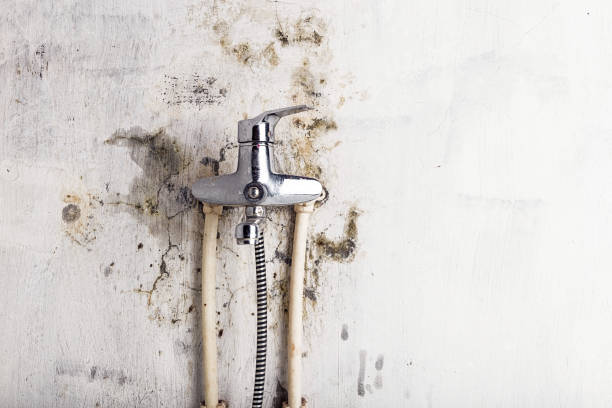 Best Toxic Mold Removal  in Valle Vista, AZ