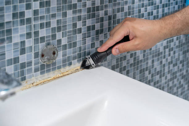 Best Toxic Mold Removal  in Valle Vista, AZ