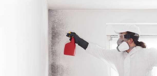 Best Crawl Space Mold Removal  in Valle Vista, AZ